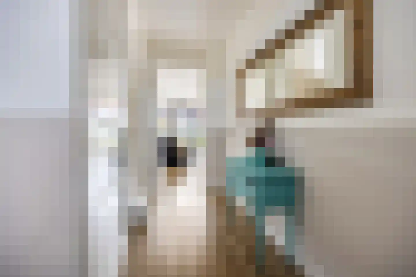 Geerkampen 5 Bunschoten-Spakenburg thumbnail 8