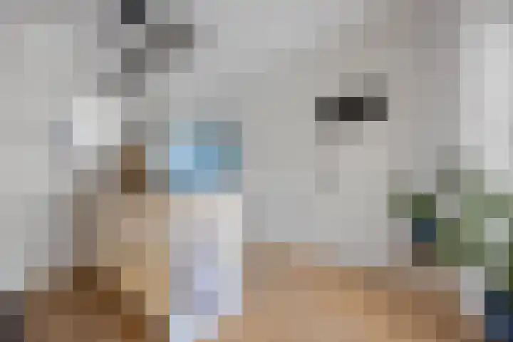 Geerke 18 Sint-Michielsgestel thumbnail 11