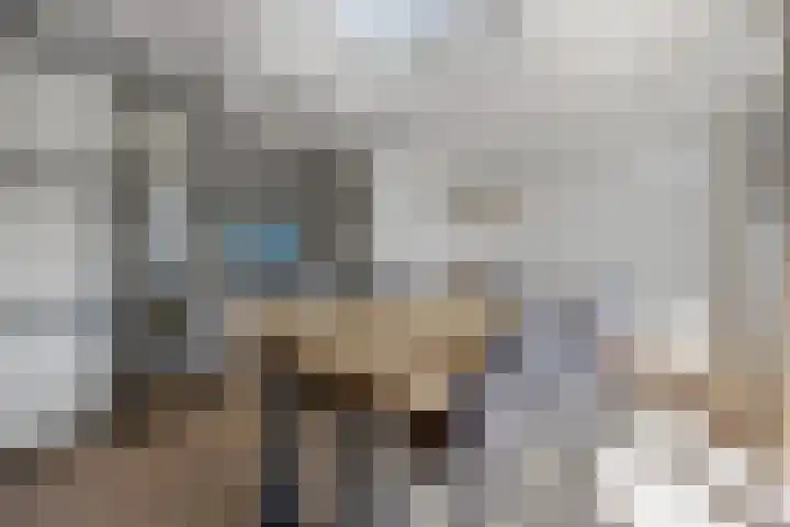 Geerke 18 Sint-Michielsgestel thumbnail 14