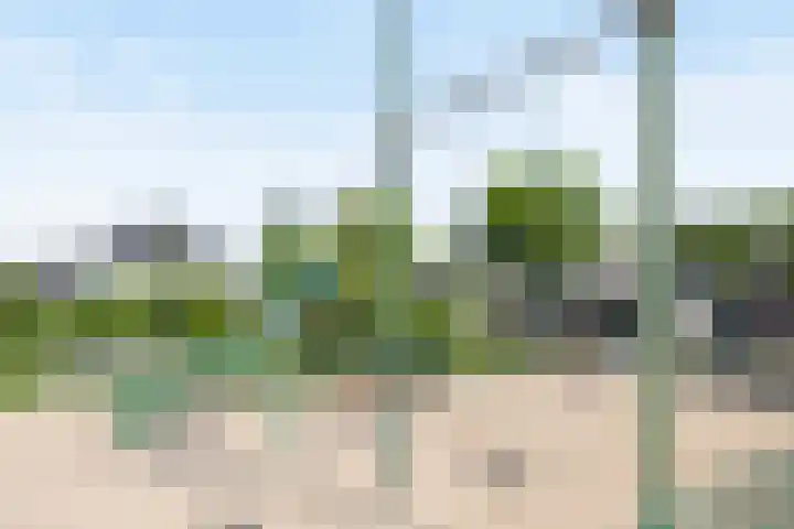 Geerke 18 Sint-Michielsgestel thumbnail 29