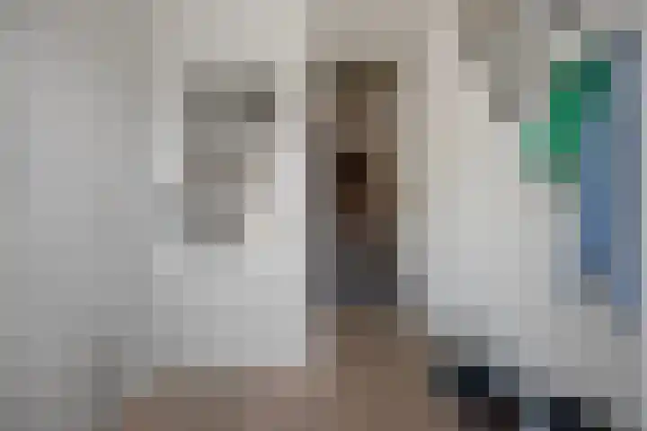 Geerke 18 Sint-Michielsgestel thumbnail 5