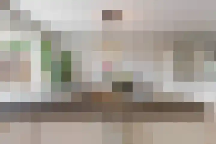 Geerkens 4 Limmen thumbnail 18