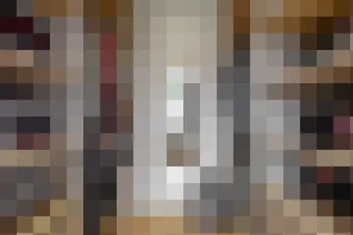 Geerkens 4 Limmen thumbnail 28