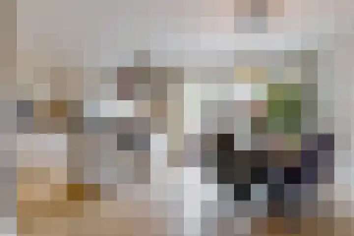 Geerkens 4 Limmen thumbnail 5