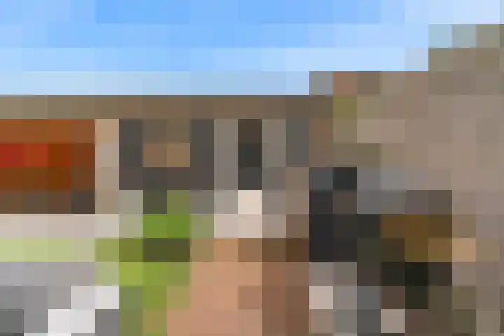 Geerkens 4 Limmen thumbnail 50