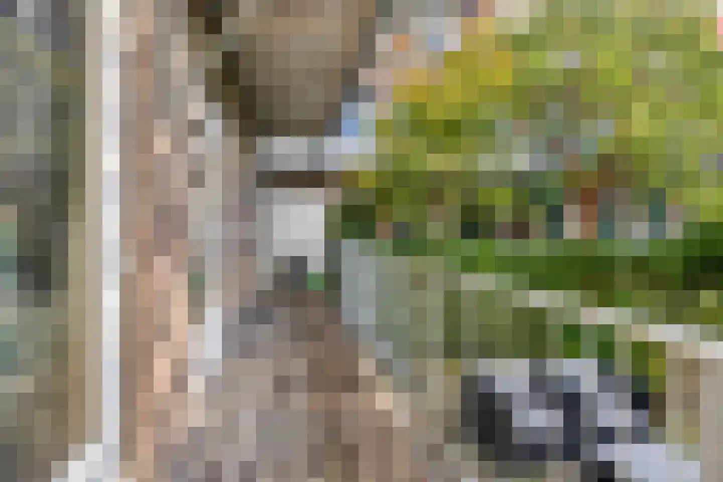 Geerkensstraat 26 D Rotterdam thumbnail 17