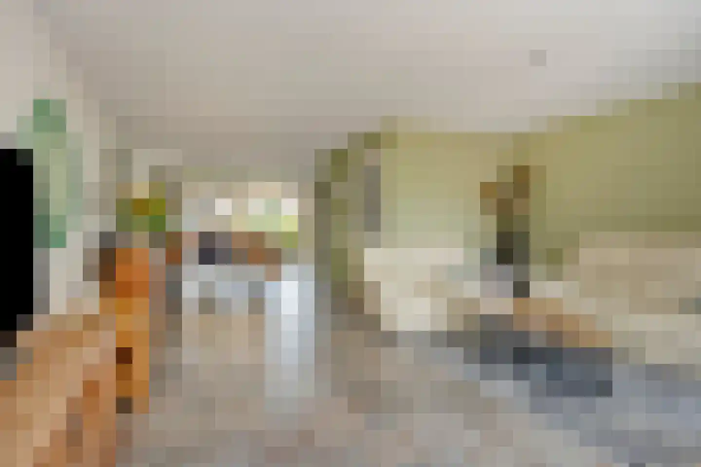Geerlaan 10 Ouderkerk aan den IJssel thumbnail 10