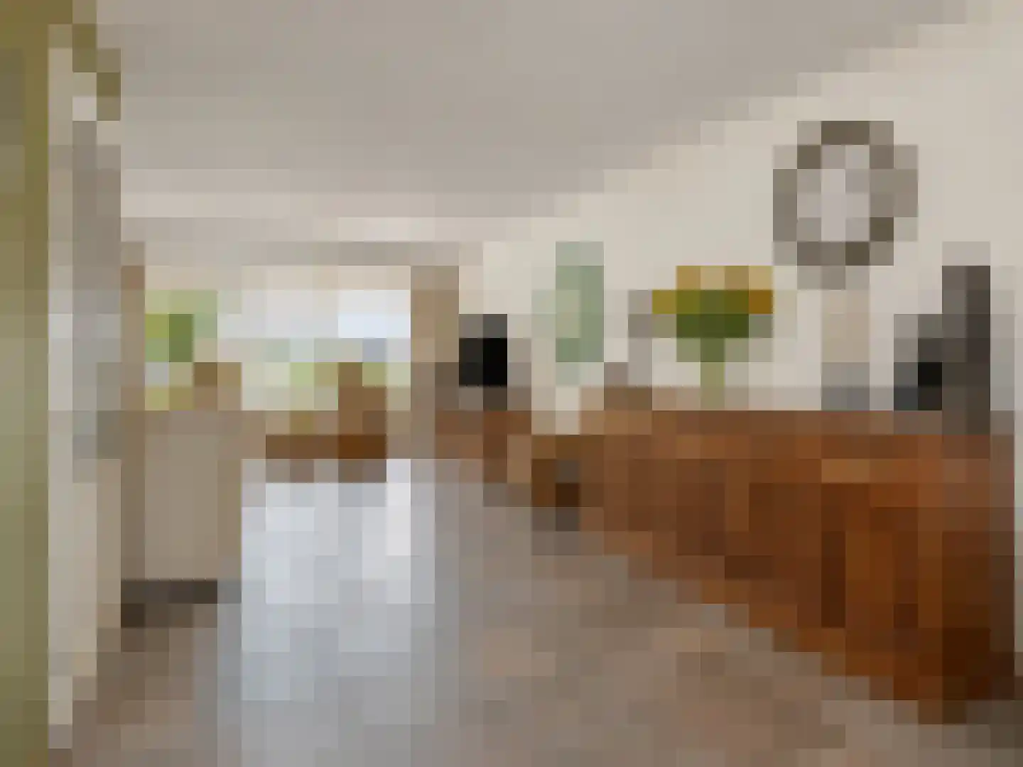 Geerlaan 10 Ouderkerk aan den IJssel thumbnail 13