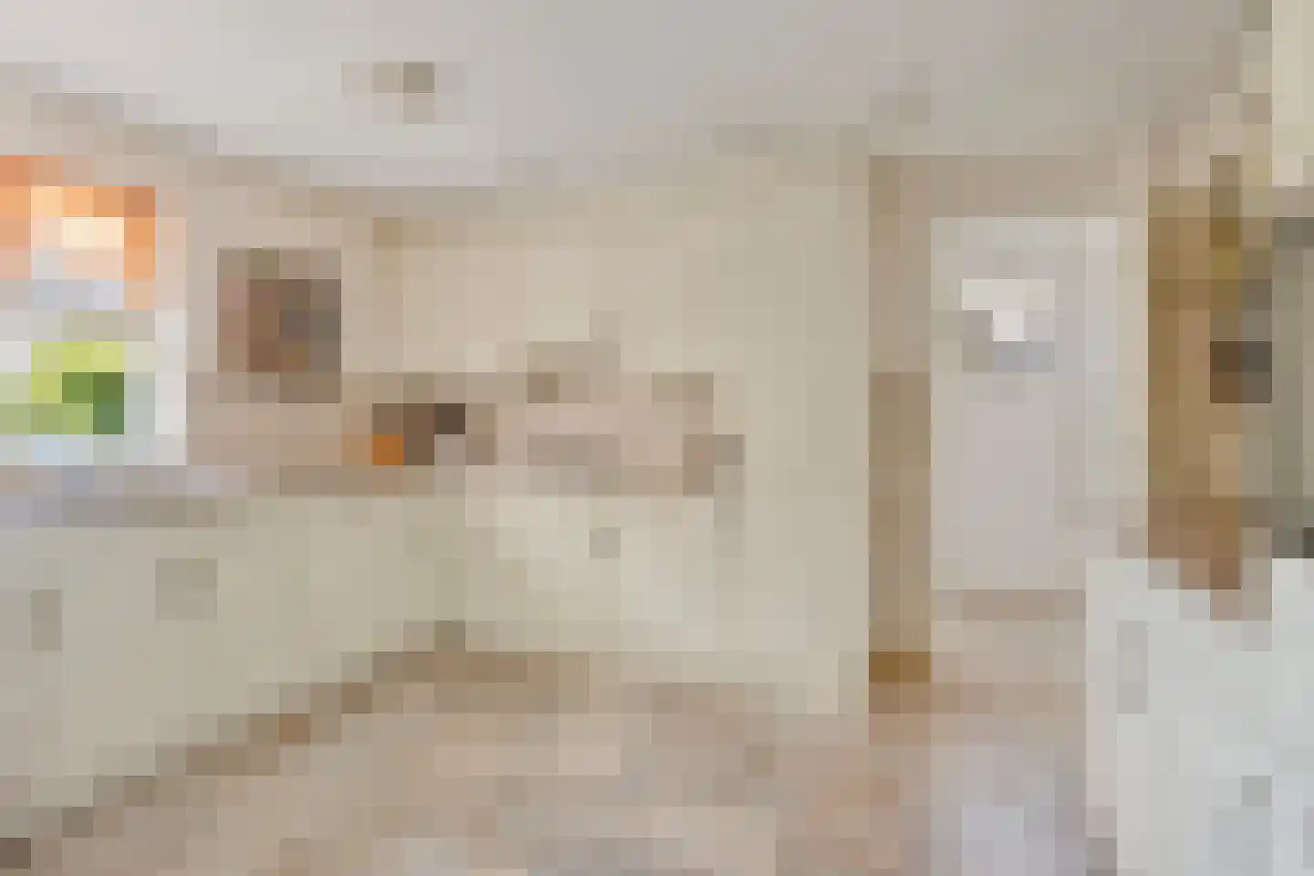 Geerlaan 10 Ouderkerk aan den IJssel thumbnail 17