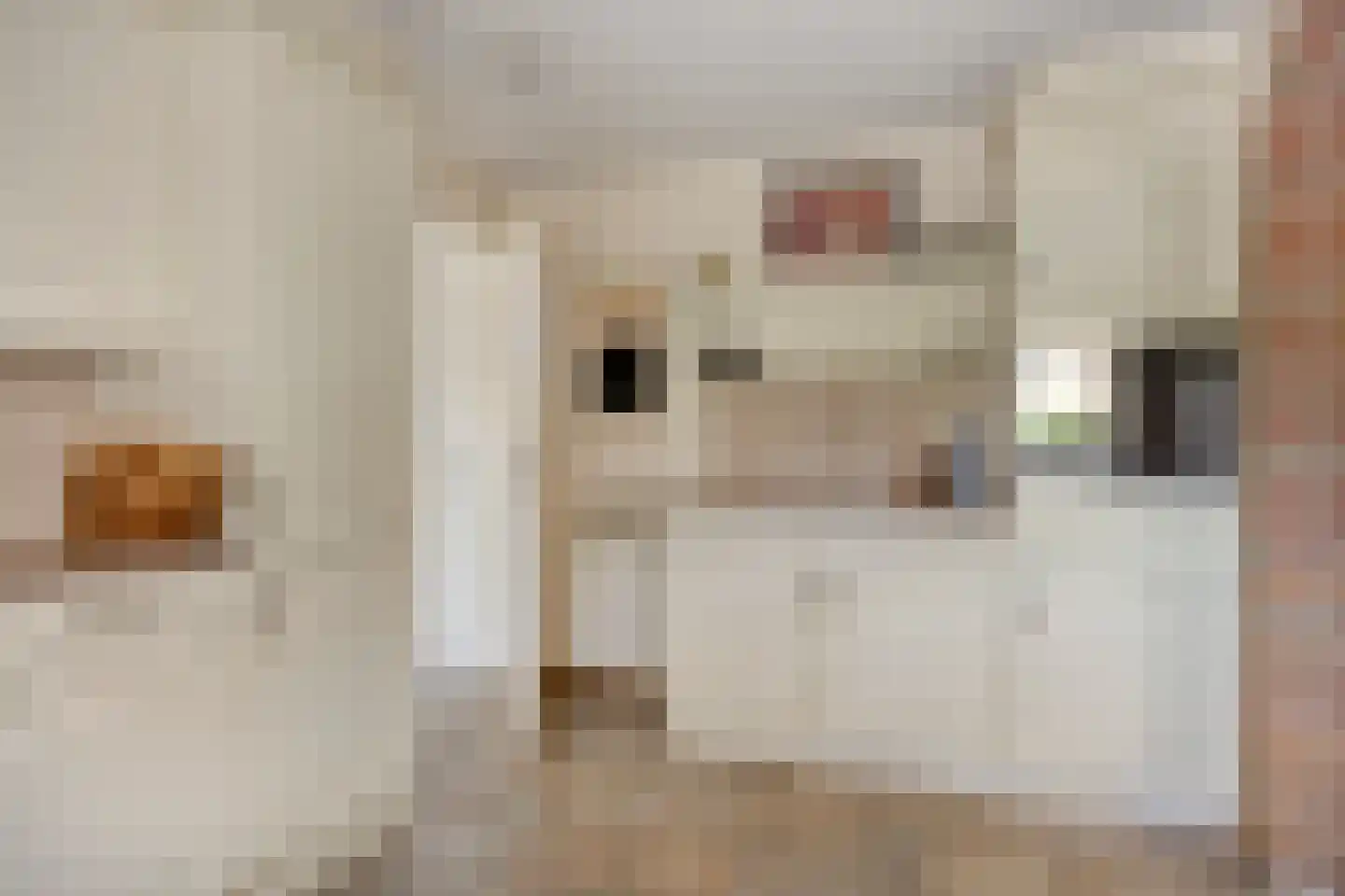 Geerlaan 10 Ouderkerk aan den IJssel thumbnail 20