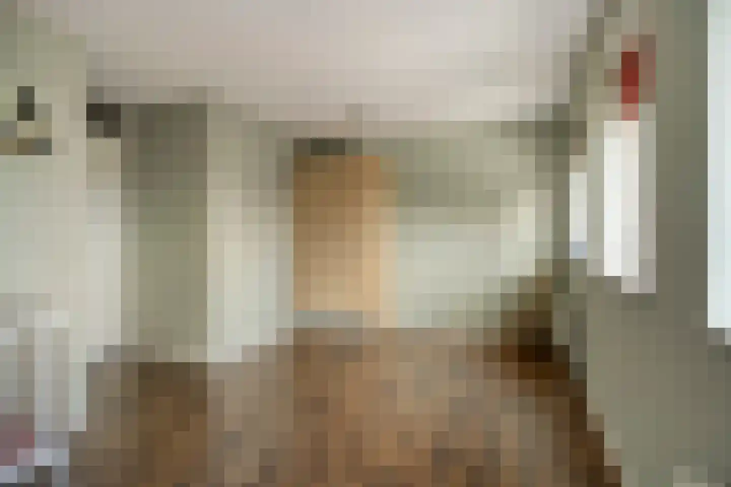 Geerlaan 10 Ouderkerk aan den IJssel thumbnail 29