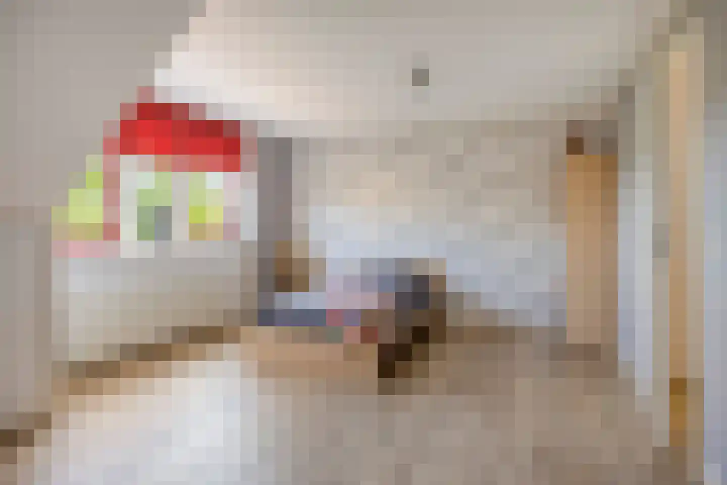 Geerlaan 10 Ouderkerk aan den IJssel thumbnail 34