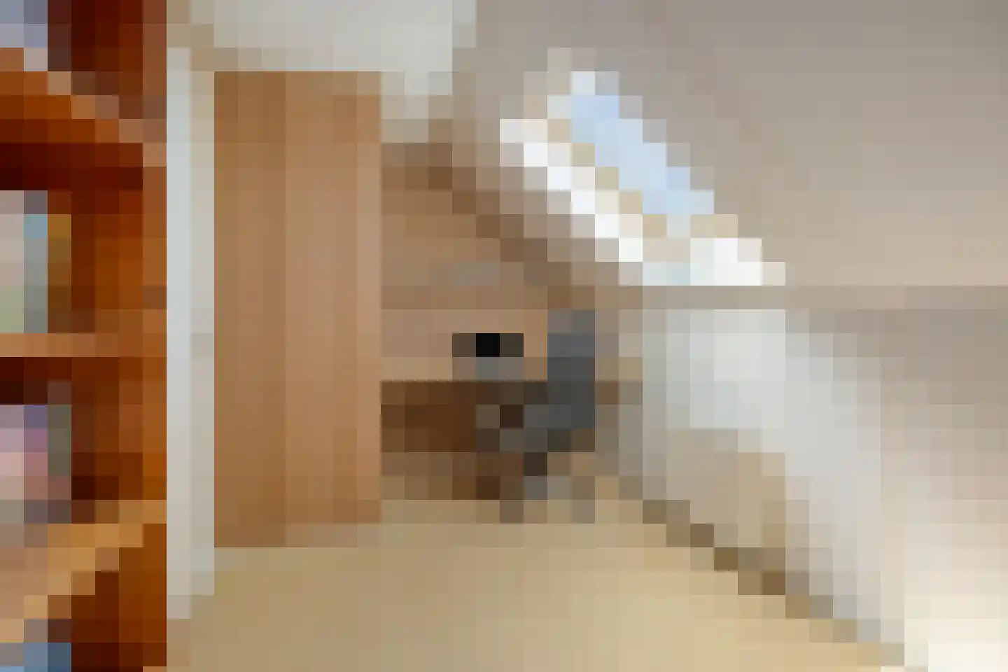 Geerlaan 10 Ouderkerk aan den IJssel thumbnail 36
