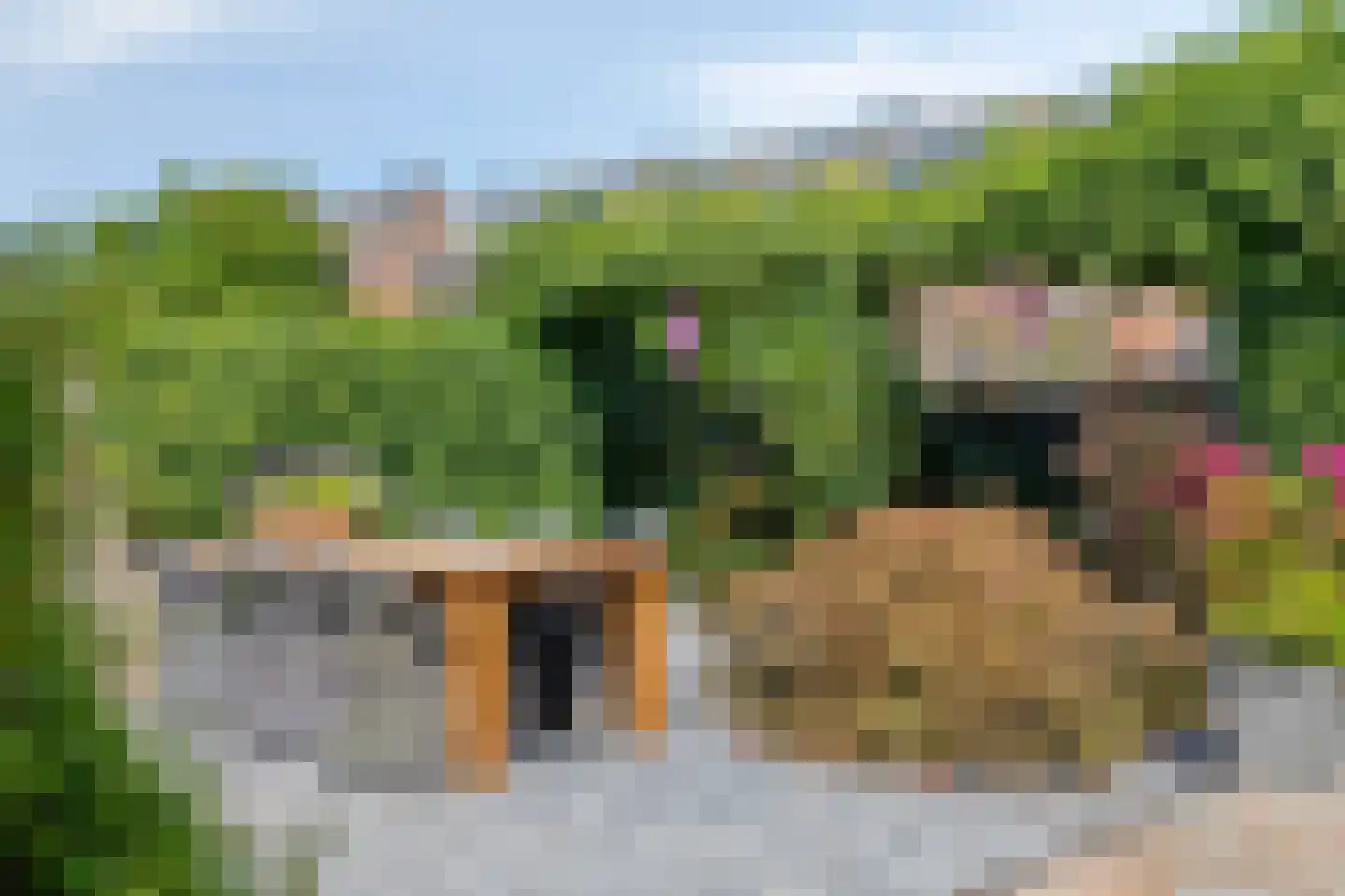 Geerlaan 10 Ouderkerk aan den IJssel thumbnail 39