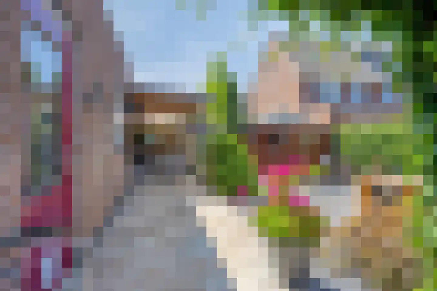 Geerlaan 10 Ouderkerk aan den IJssel thumbnail 42