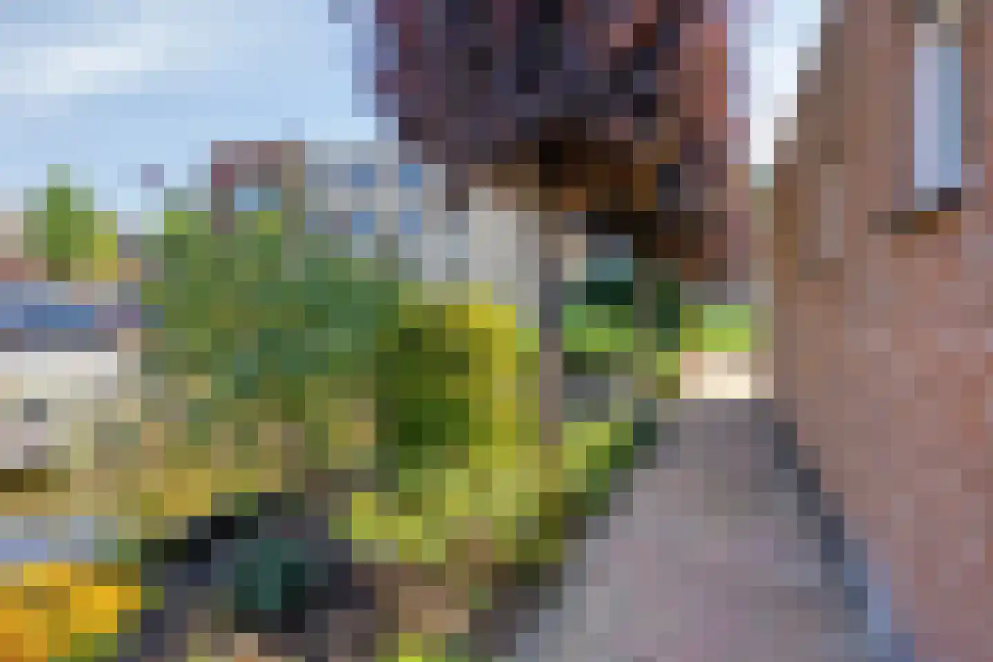 Geerlaan 10 Ouderkerk aan den IJssel thumbnail 48