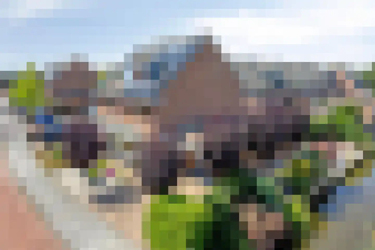 Geerlaan 10 Ouderkerk aan den IJssel thumbnail 5
