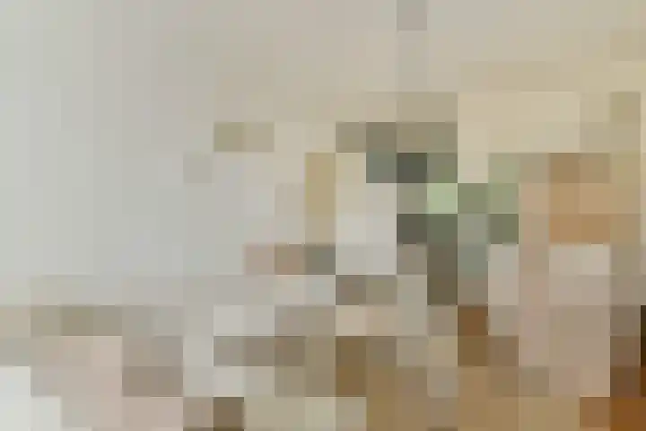 Geerlaan 130 Ridderkerk thumbnail 11