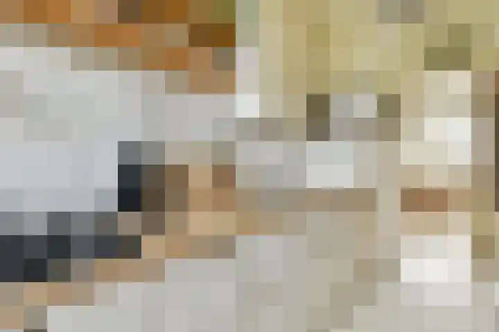 Geerlaan 130 Ridderkerk thumbnail 12