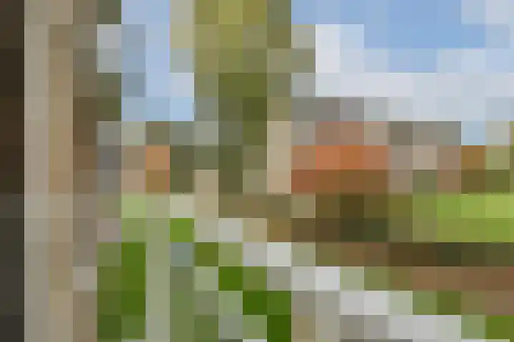 Geerlaan 130 Ridderkerk thumbnail 18