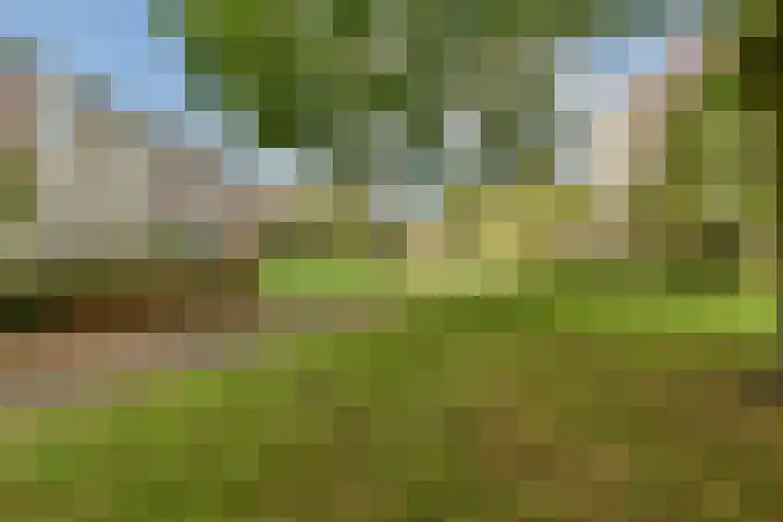 Geerlaan 130 Ridderkerk thumbnail 20