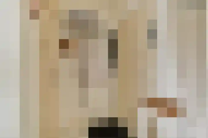 Geerlaan 130 Ridderkerk thumbnail 9