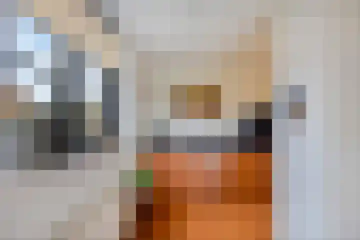 Geerlaan 17 Ouderkerk aan den IJssel thumbnail 16