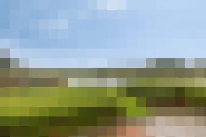 Geerlaan 17 Ouderkerk aan den IJssel thumbnail 26