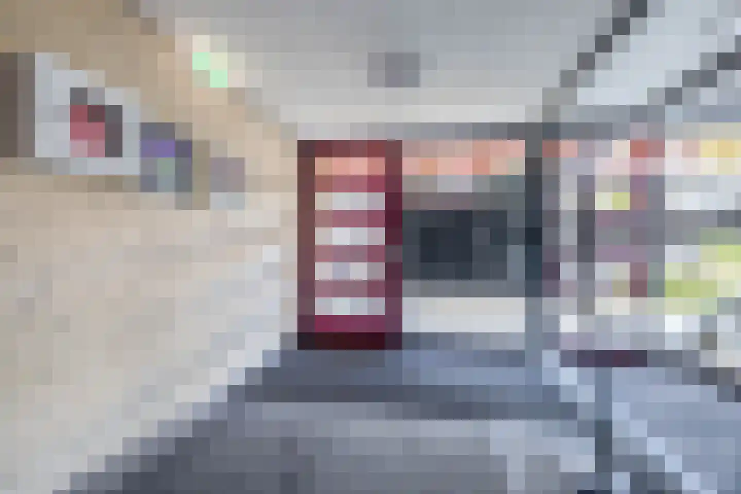 Geerlaan 37 Ouderkerk aan den IJssel thumbnail 6