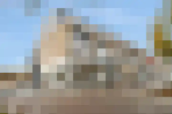 Geerlaan 43 a Ridderkerk thumbnail 30