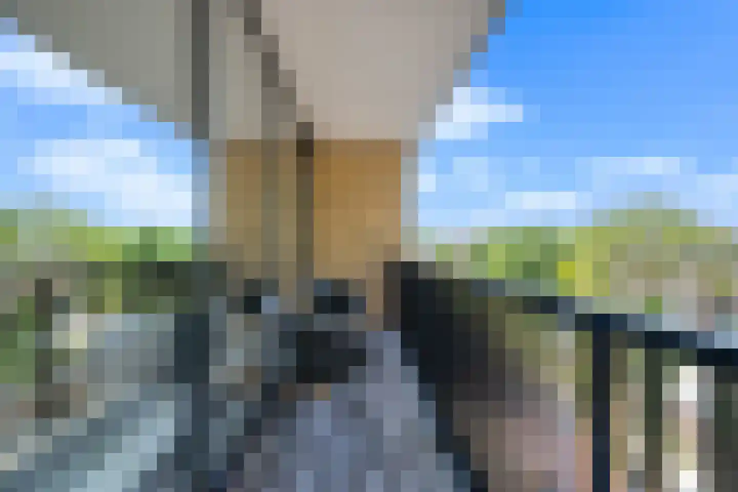 Geerlaan 43 k Ridderkerk thumbnail 26