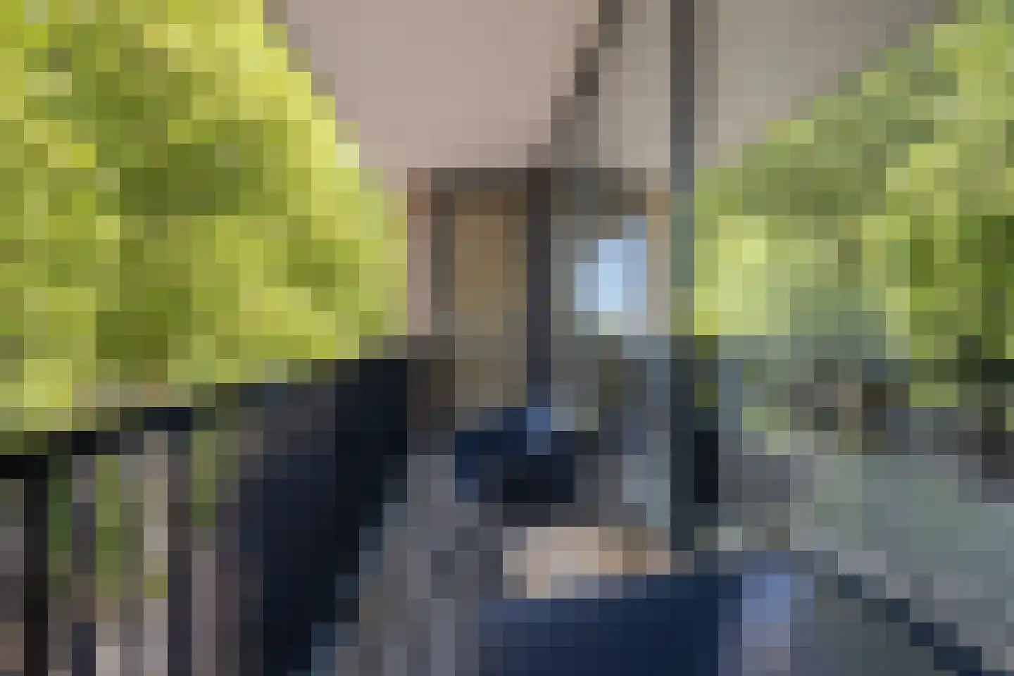 Geerlaan 43 k Ridderkerk thumbnail 27