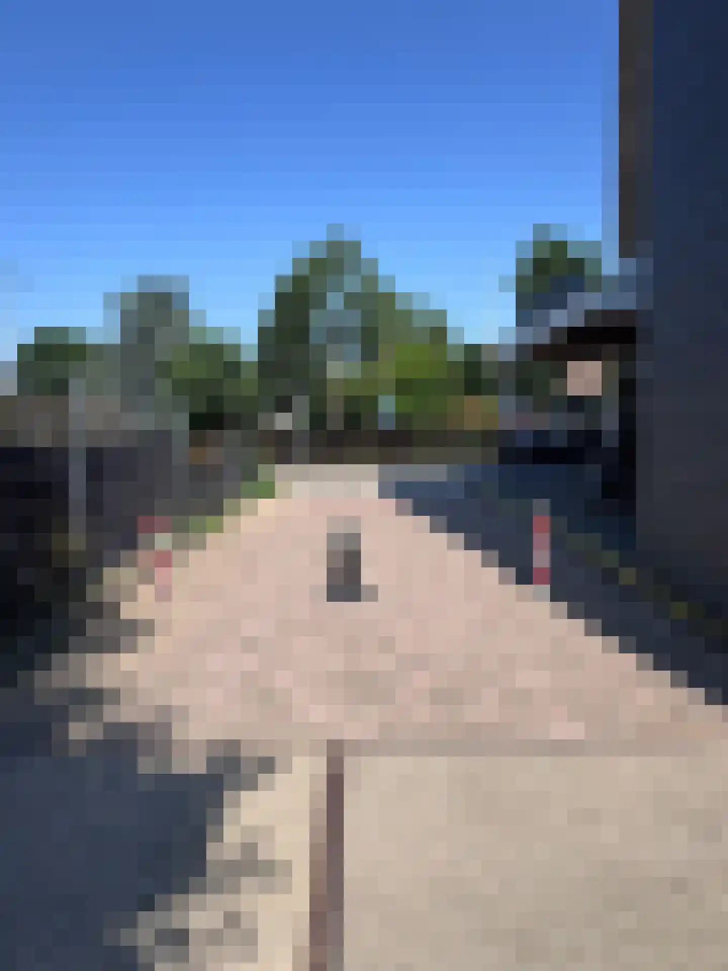Geerlaan 49 Ridderkerk thumbnail 4