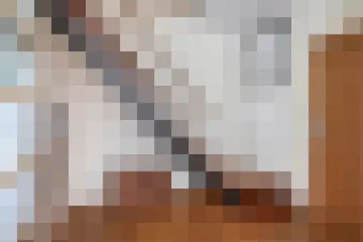 Geerland 1 Zevenbergen thumbnail 11