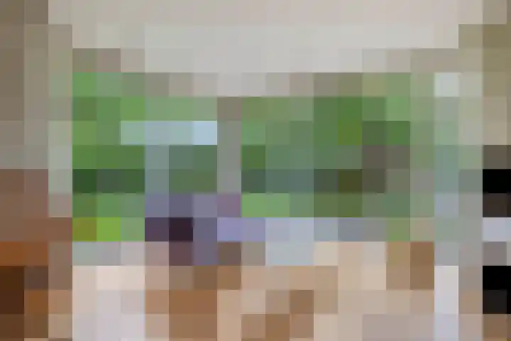 Geerland 1 Zevenbergen thumbnail 16