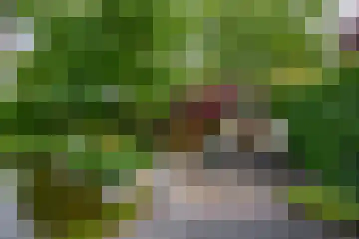 Geerland 1 Zevenbergen thumbnail 38