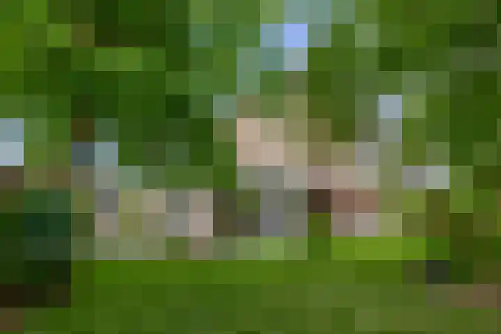 Geerland 1 Zevenbergen thumbnail 40