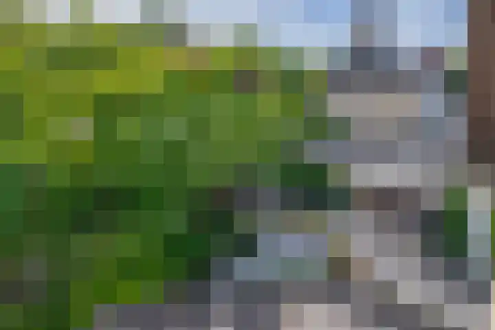 Geerland 1 Zevenbergen thumbnail 41