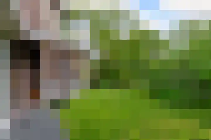 Geerland 1 Zevenbergen thumbnail 42