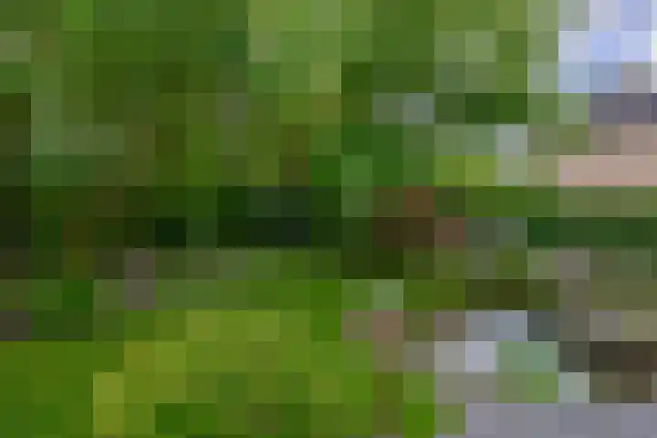 Geerland 1 Zevenbergen thumbnail 43