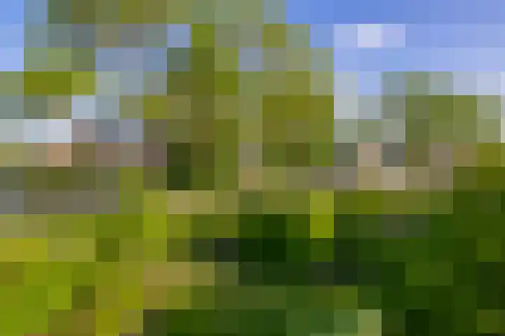 Geerland 1 Zevenbergen thumbnail 44