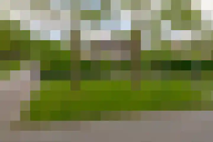 Geerland 1 Zevenbergen thumbnail 5