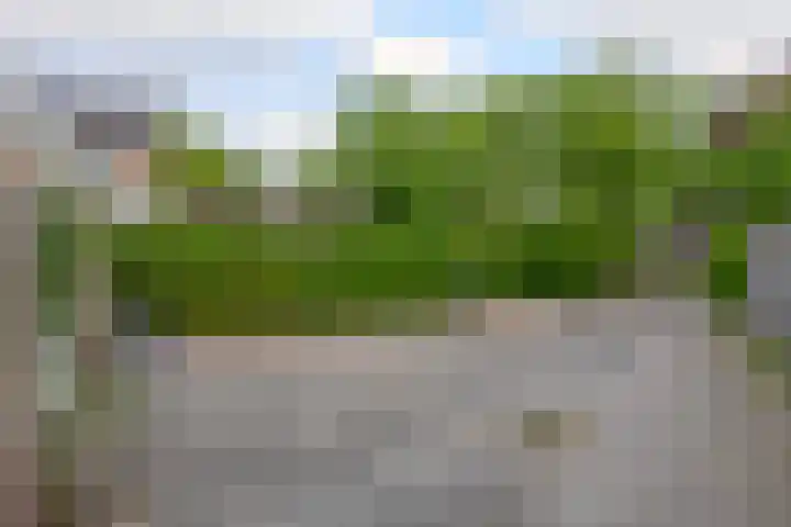 Geerland 1 Zevenbergen thumbnail 53