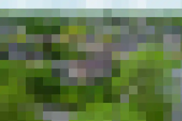 Geerland 1 Zevenbergen thumbnail 54