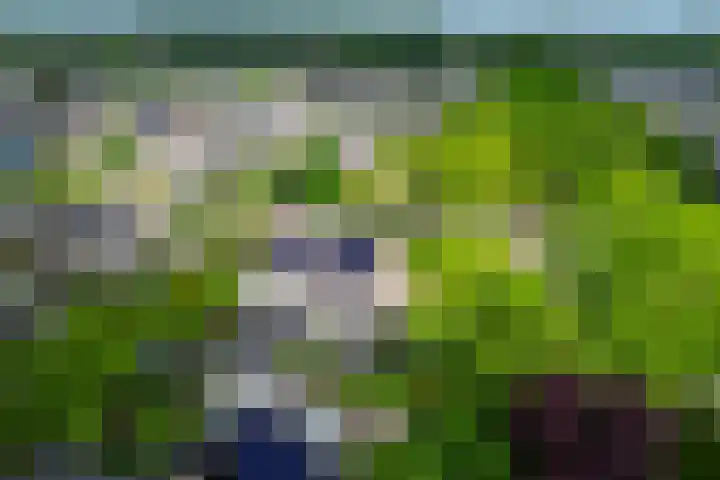 Geerland 1 Zevenbergen thumbnail 55