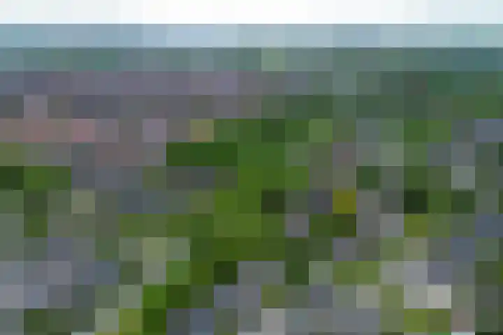 Geerland 1 Zevenbergen thumbnail 56