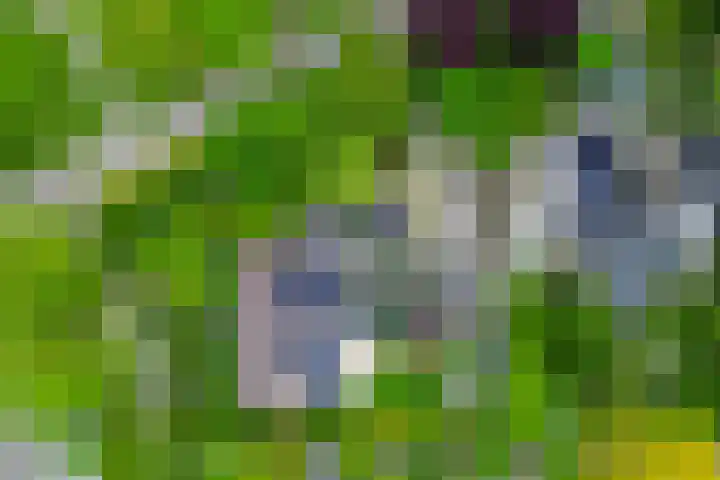 Geerland 1 Zevenbergen thumbnail 57