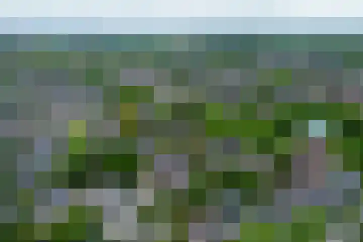 Geerland 1 Zevenbergen thumbnail 59
