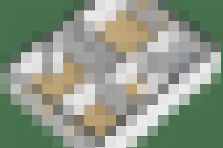 Geerland 1 Zevenbergen thumbnail 63