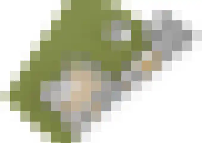 Geerland 1 Zevenbergen thumbnail 69